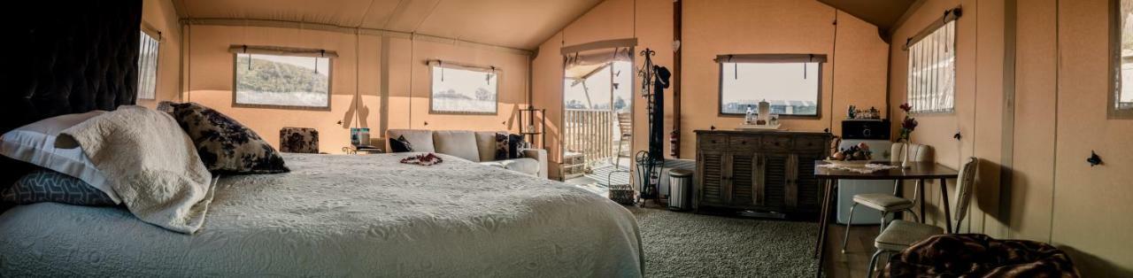 Country Retreat Glamping New Plymouth Exterior foto